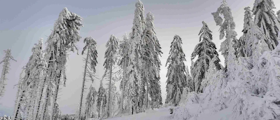 Turbacz 30.12.2019r – zdjęcie 70
