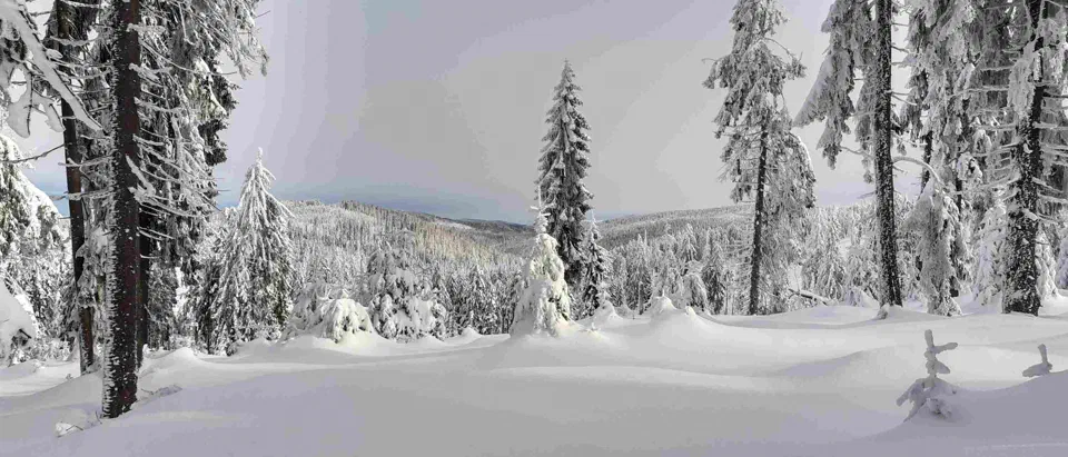Turbacz 30.12.2019r – zdjęcie 73