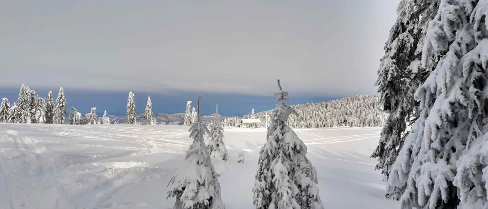 Turbacz 30.12.2019r – zdjęcie 74