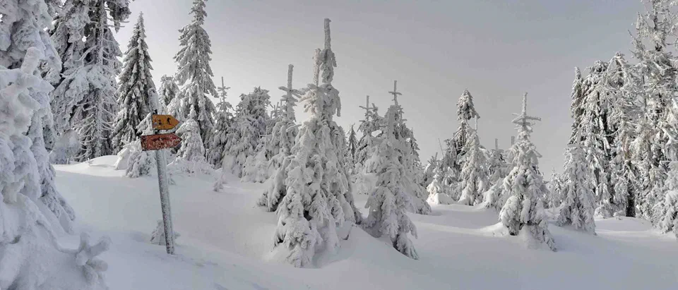 Turbacz 30.12.2019r – zdjęcie 75