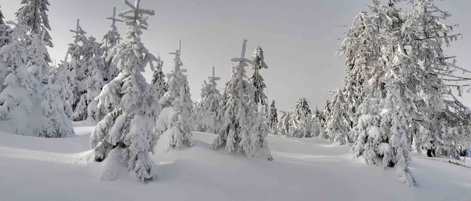 Turbacz 30.12.2019r – zdjęcie 76