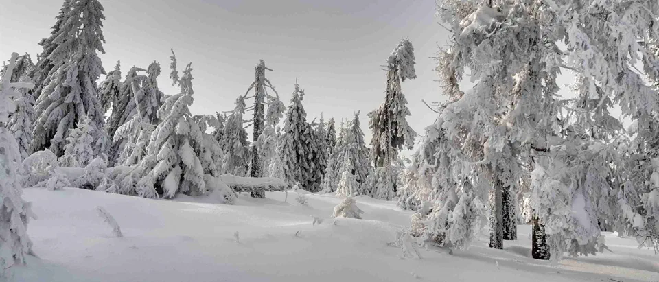 Turbacz 30.12.2019r – zdjęcie 77