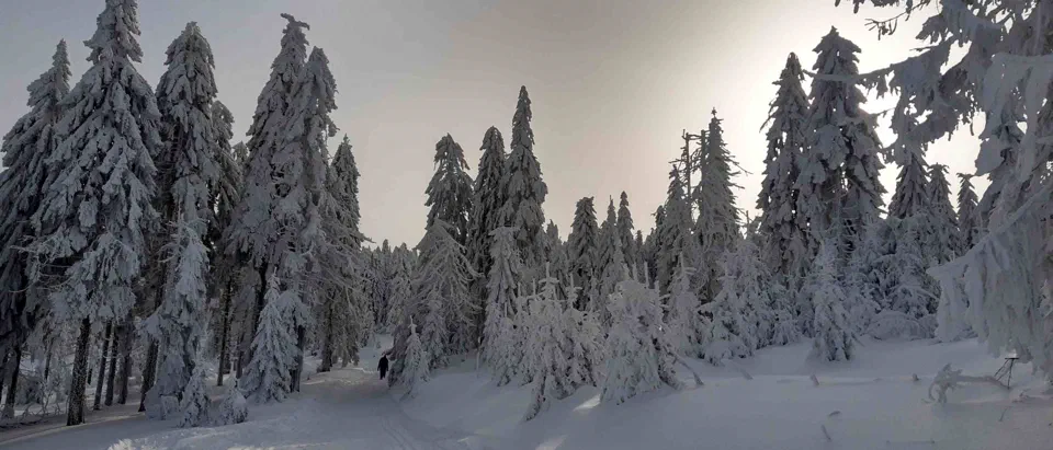 Turbacz 30.12.2019r – zdjęcie 81