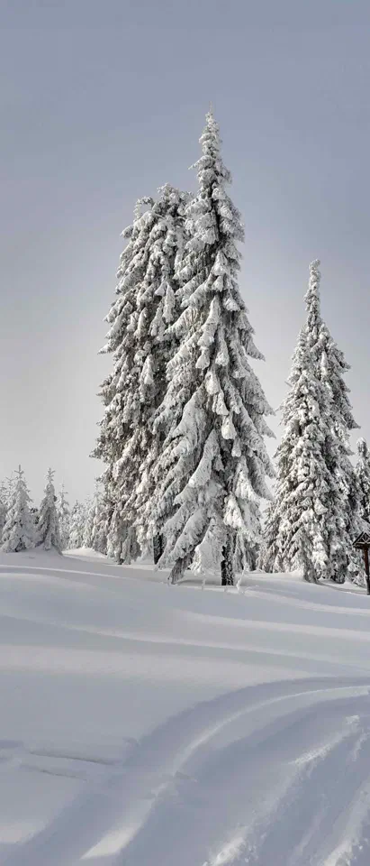 Turbacz 30.12.2019r – zdjęcie 83