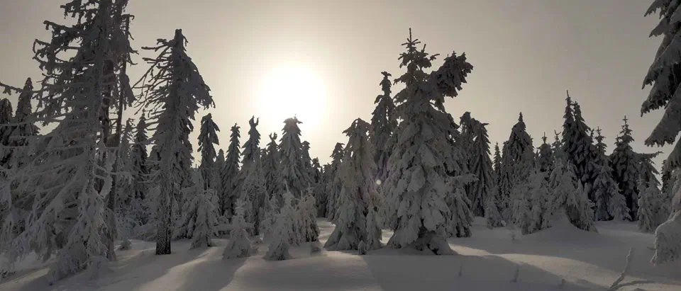 Turbacz 30.12.2019r – zdjęcie 84