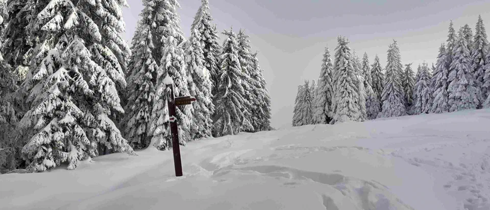 Turbacz 30.12.2019r – zdjęcie 87
