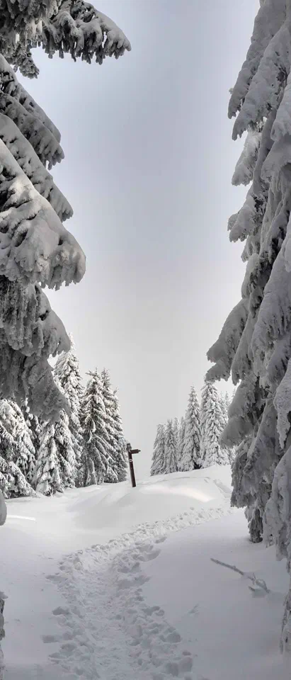 Turbacz 30.12.2019r – zdjęcie 90
