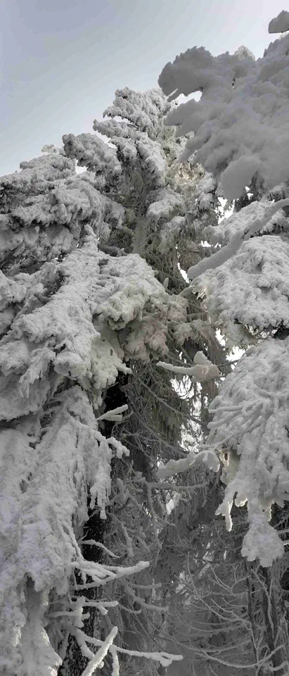 Turbacz 30.12.2019r – zdjęcie 93