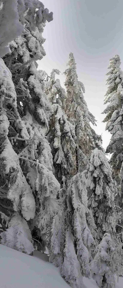 Turbacz 30.12.2019r – zdjęcie 94