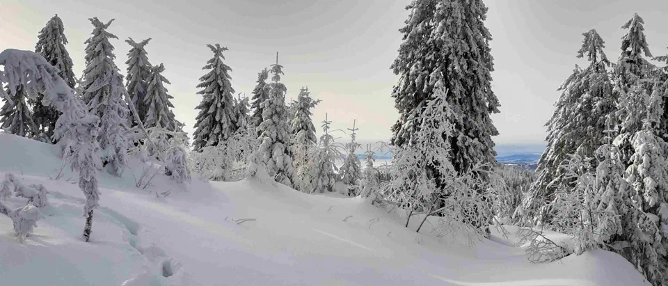 Turbacz 30.12.2019r – zdjęcie 99