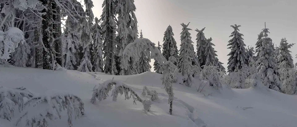 Turbacz 30.12.2019r – zdjęcie 100