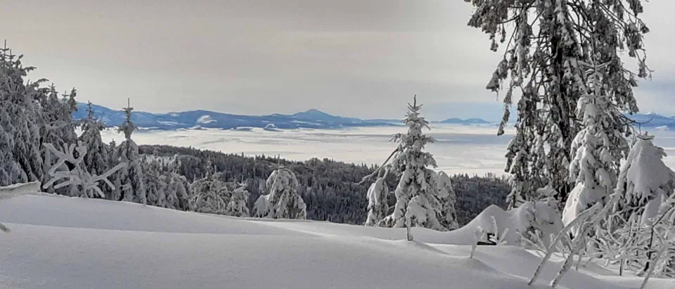 Turbacz 30.12.2019r – zdjęcie 101
