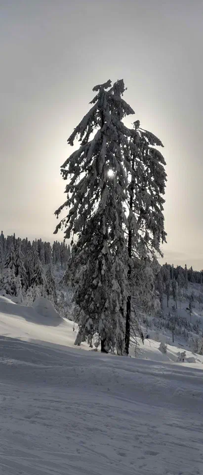 Turbacz 30.12.2019r – zdjęcie 104