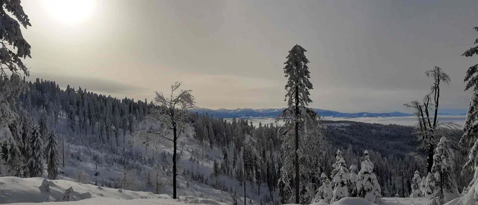 Turbacz 30.12.2019r – zdjęcie 106