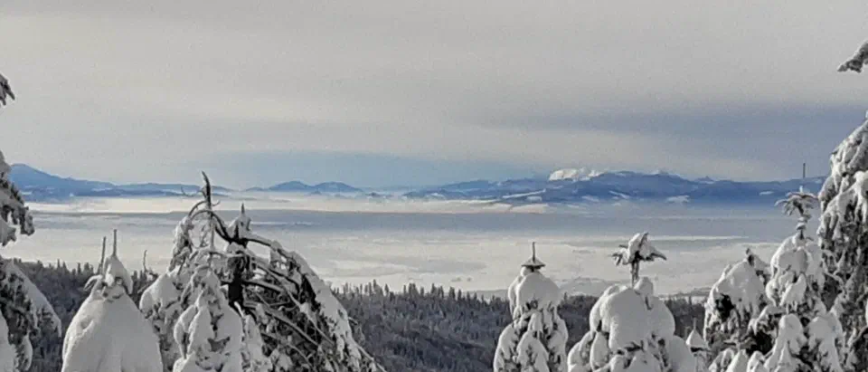 Turbacz 30.12.2019r – zdjęcie 108