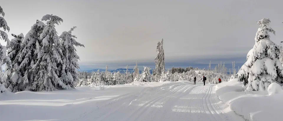 Turbacz 30.12.2019r – zdjęcie 109