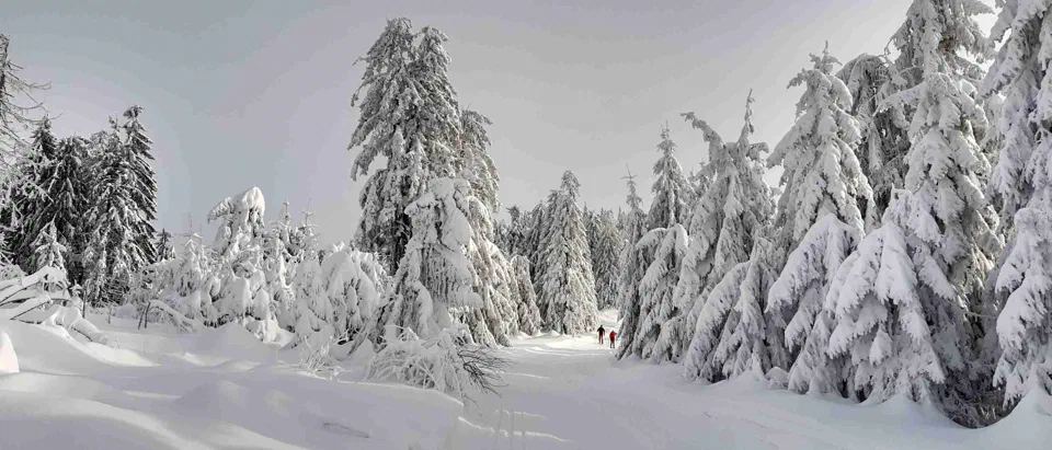 Turbacz 30.12.2019r – zdjęcie 110