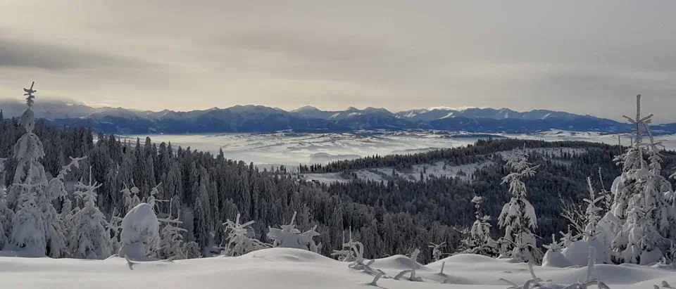 Turbacz 30.12.2019r – zdjęcie 112
