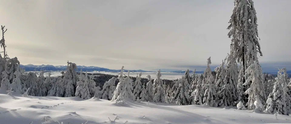 Turbacz 30.12.2019r – zdjęcie 114
