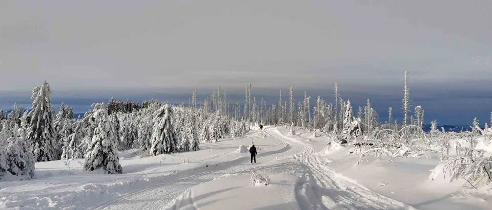 Turbacz 30.12.2019r – zdjęcie 116