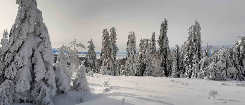 Turbacz 30.12.2019r – zdjęcie 117