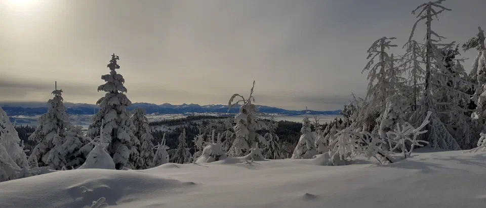 Turbacz 30.12.2019r – zdjęcie 124