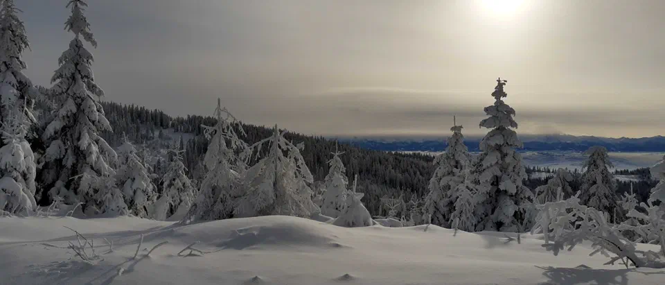 Turbacz 30.12.2019r – zdjęcie 125