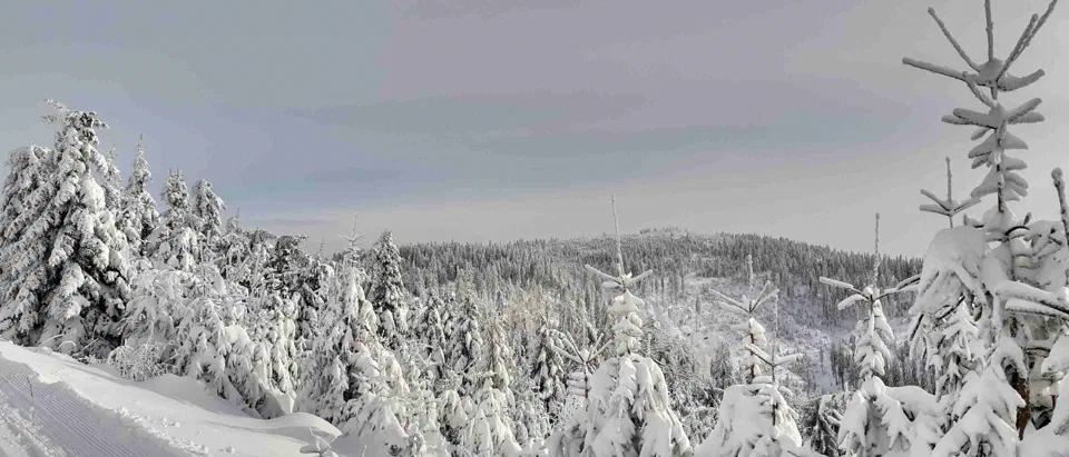Turbacz 30.12.2019r – zdjęcie 129