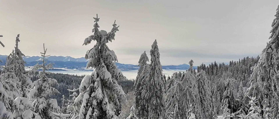 Turbacz 30.12.2019r – zdjęcie 130