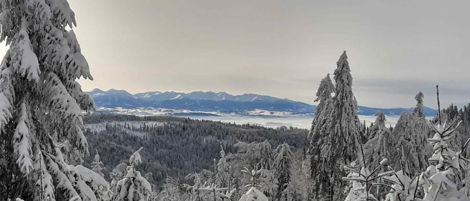 Turbacz 30.12.2019r – zdjęcie 131