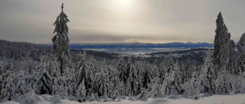 Turbacz 30.12.2019r – zdjęcie 132