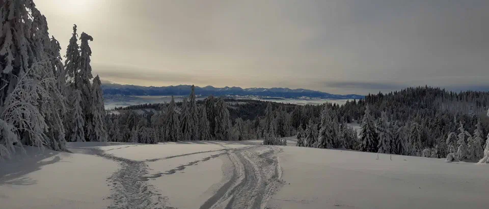Turbacz 30.12.2019r – zdjęcie 135