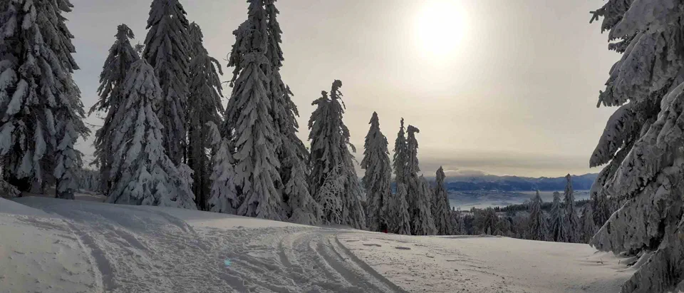 Turbacz 30.12.2019r – zdjęcie 136