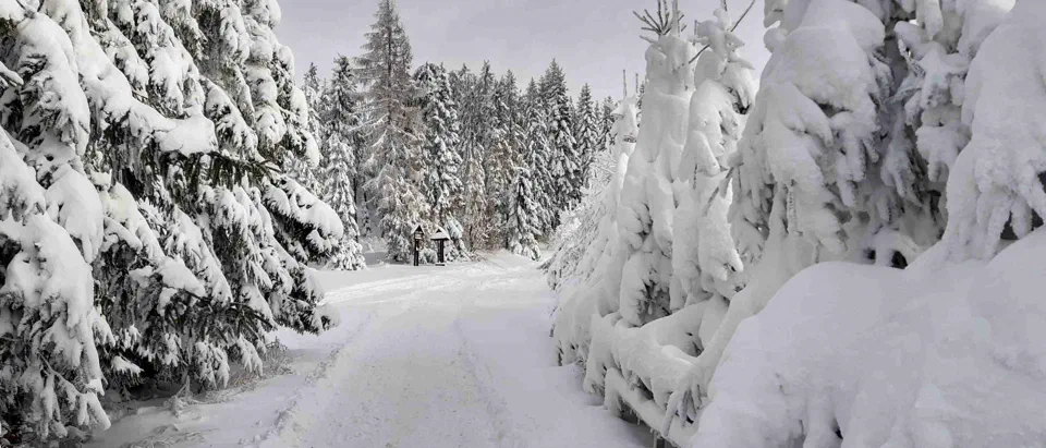 Turbacz 30.12.2019r – zdjęcie 144