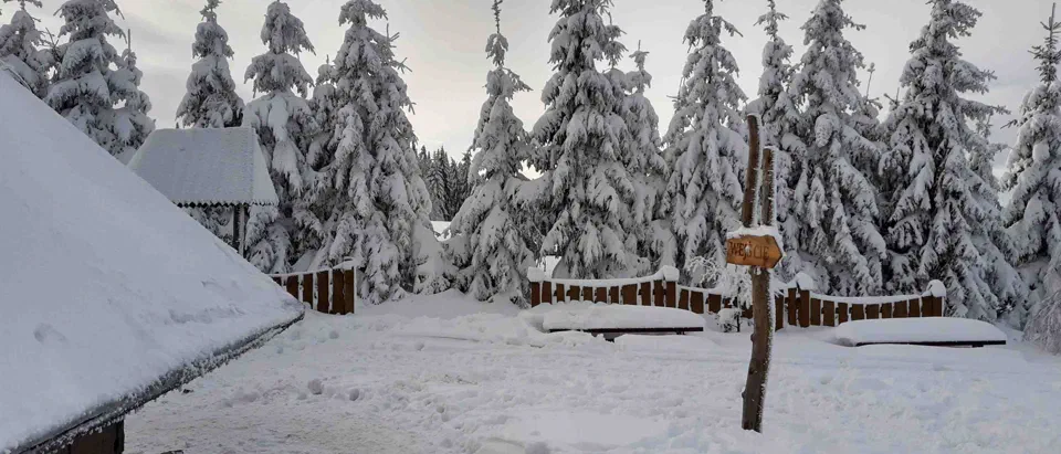 Turbacz 30.12.2019r – zdjęcie 147