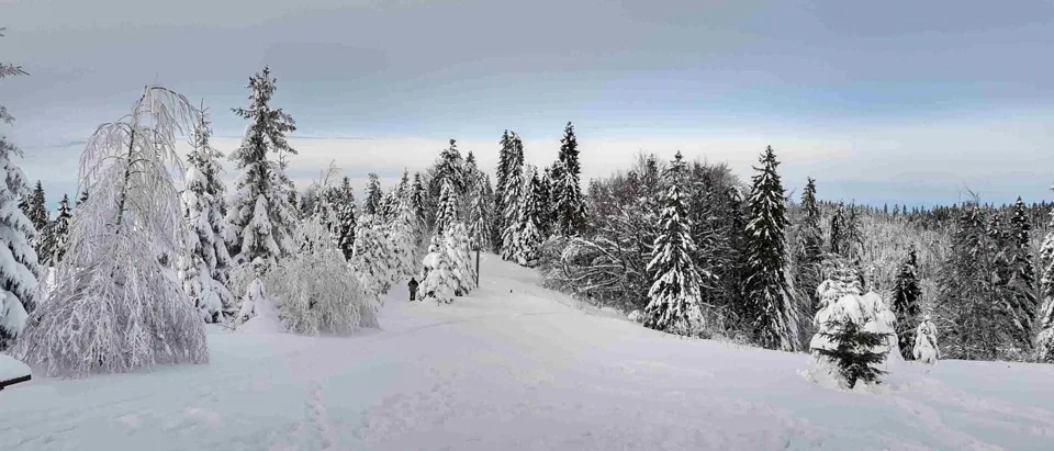 Turbacz 30.12.2019r – zdjęcie 154