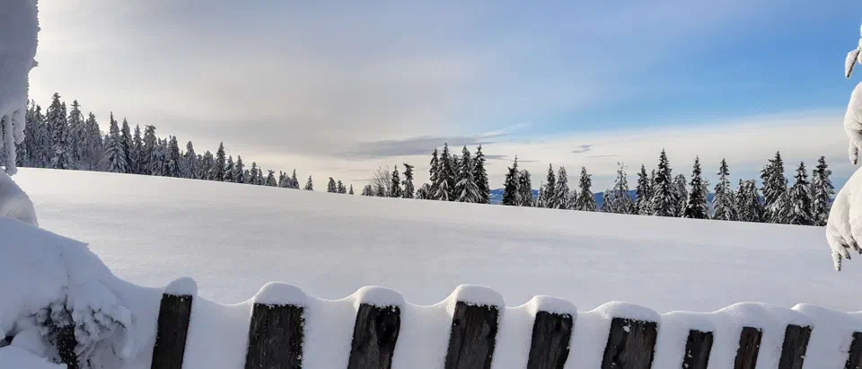 Turbacz 30.12.2019r – zdjęcie 155