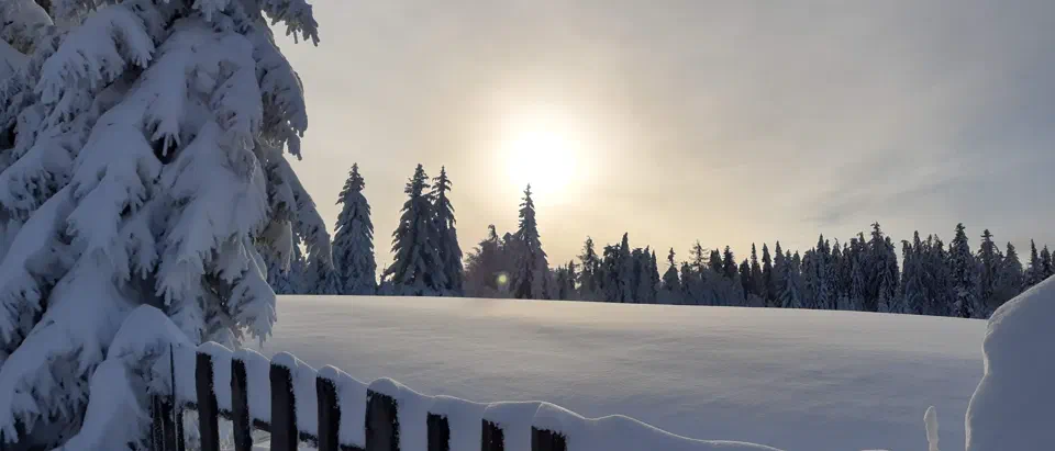 Turbacz 30.12.2019r – zdjęcie 156