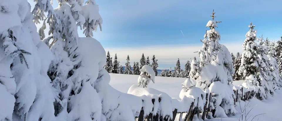 Turbacz 30.12.2019r – zdjęcie 157