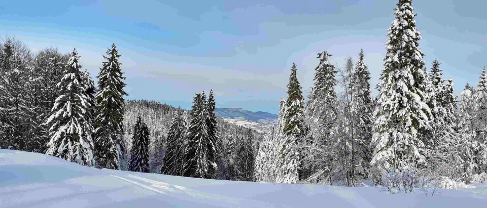 Turbacz 30.12.2019r – zdjęcie 158