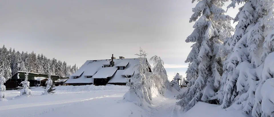 Turbacz 30.12.2019r – zdjęcie 159