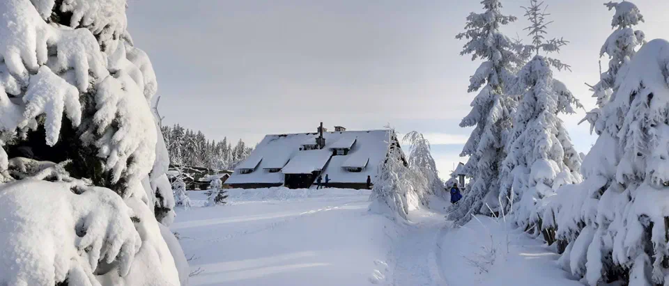 Turbacz 30.12.2019r – zdjęcie 160