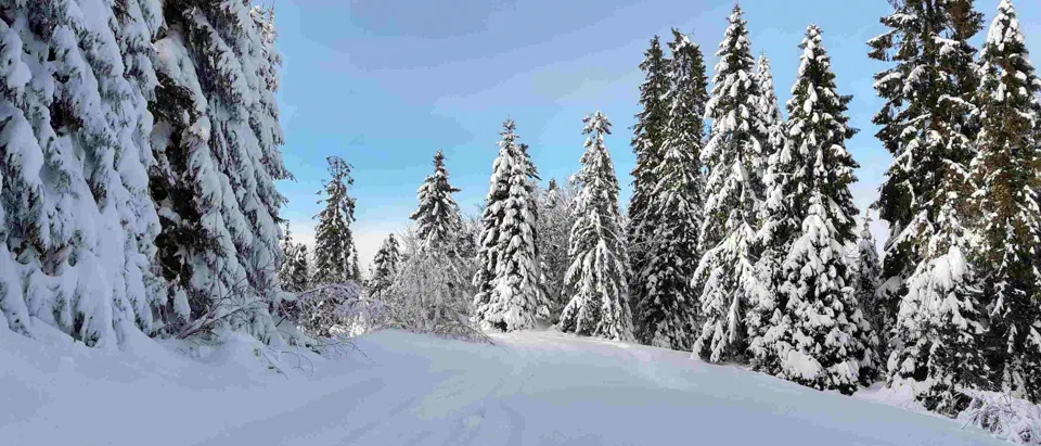 Turbacz 30.12.2019r – zdjęcie 165