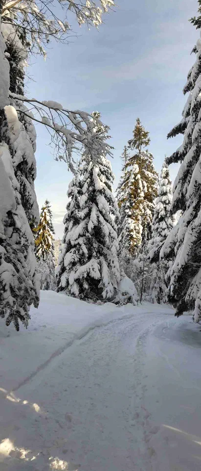 Turbacz 30.12.2019r – zdjęcie 167