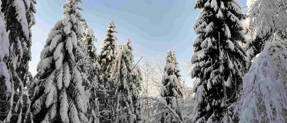 Turbacz 30.12.2019r – zdjęcie 170