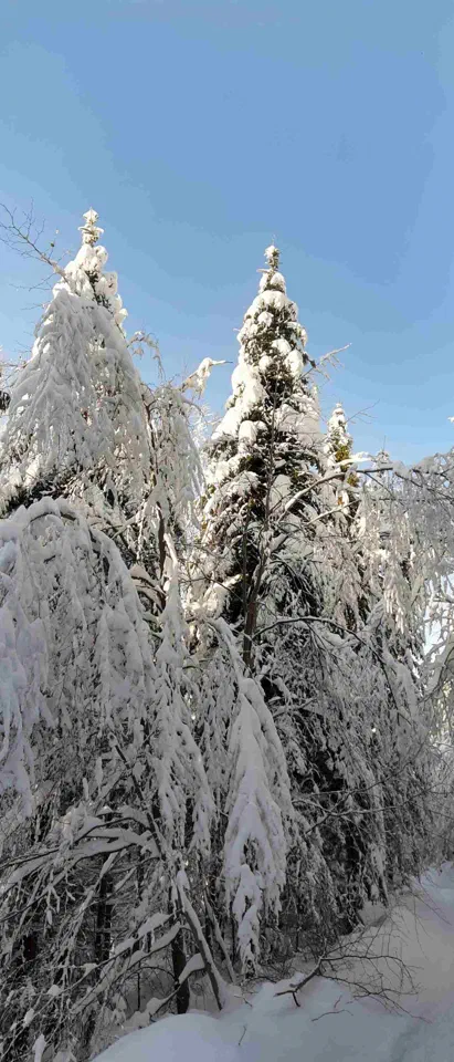 Turbacz 30.12.2019r – zdjęcie 171