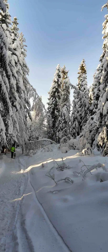Turbacz 30.12.2019r – zdjęcie 172