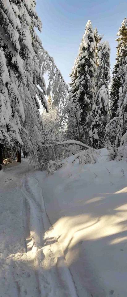 Turbacz 30.12.2019r – zdjęcie 173