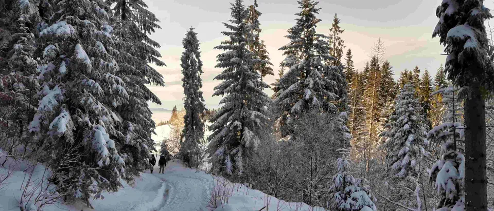 Turbacz 30.12.2019r – zdjęcie 174