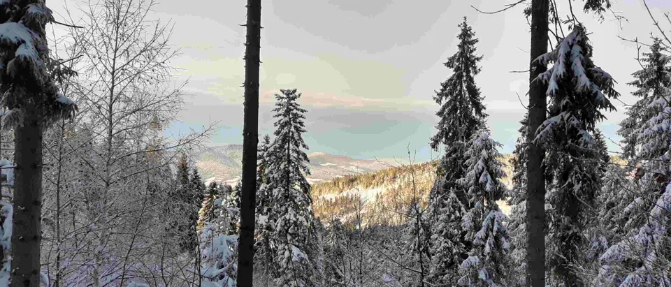 Turbacz 30.12.2019r – zdjęcie 175